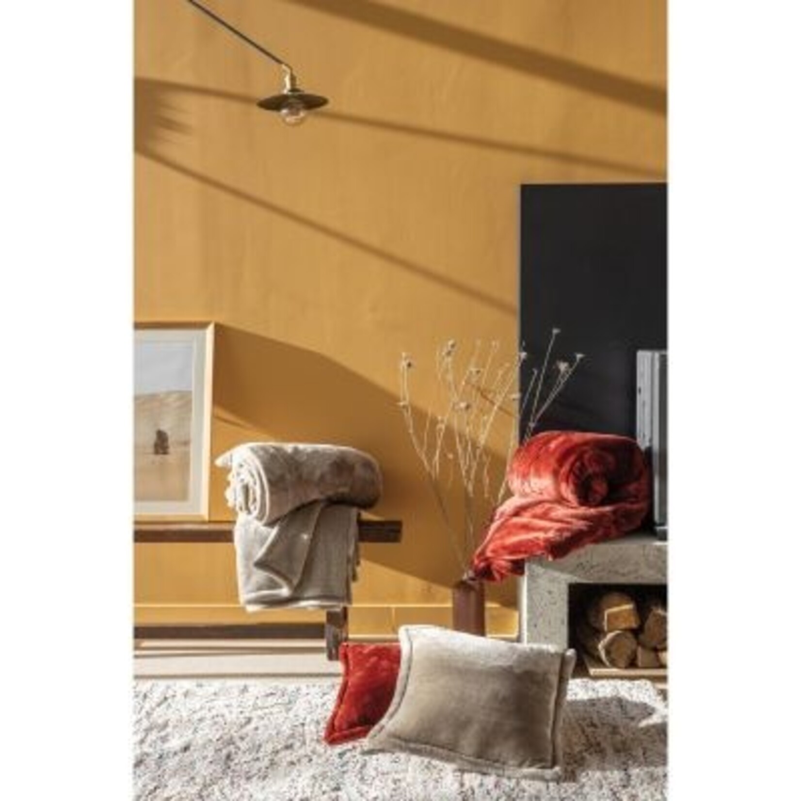 Vivaraise Plaid Tender Geranium 150/200