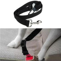 Autogordel voor honden zwart