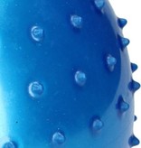 Banzaa Massage Bal groot – Ontspannen Handen en Voeten  – 19cm | Hoge Dichtheid Massagestekels | Stekelig Plastic Massage Apparaat voor Ontspanning | Massagebal met Stekels | Lacrosse Bal – Blauw