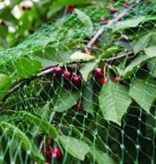 Banzaa Extra Sterk Groen Vogelnet – 5 x 4 Meter – Maaswijdte 10 mm | Tuinnet Vogels