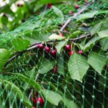Banzaa Extra Sterk Groen Vogelnet – 5 x 4 Meter – Maaswijdte 10 mm | Tuinnet Vogels