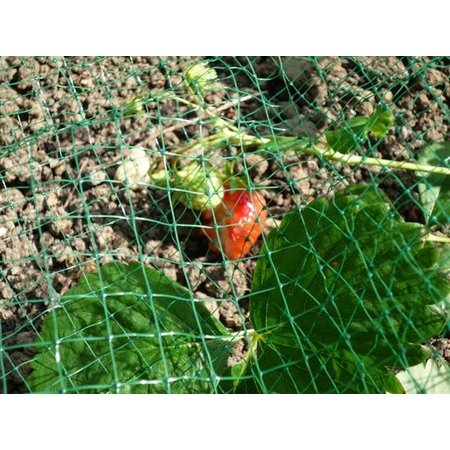 Banzaa Extra Sterk Groen Vogelnet – 5 x 4 Meter – Maaswijdte 10 mm | Tuinnet Vogels