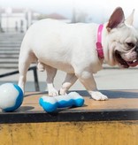 Banzaa Honden speeltje - Ijsbal - Ijsbone