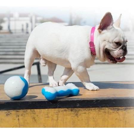 Banzaa Honden speeltje - Ijsbal - Ijsbone