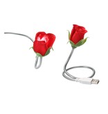 Present Time Silly Gifts USB Kabel Roos met Lampje 2 Stuks – USB Lampje – Verlichting USB – Licht – Rood