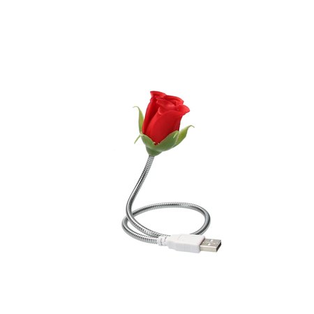 Present Time Silly Gifts USB Kabel Roos met Lampje 2 Stuks – USB Lampje – Verlichting USB – Licht – Rood