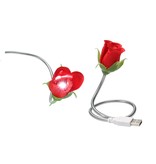 Present Time Silly Gifts USB Kabel Roos met Lampje 2 Stuks – USB Lampje – Verlichting USB – Licht – Rood