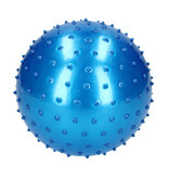 Summerplay Educatieve Ballen set Inclusief Gratis Pomp – Verbeterde Motorische Ontwikkeling – Sensorische Stimulatie – 4 Stuks