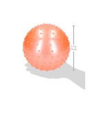 Summerplay Educatieve Ballen set Inclusief Gratis Pomp – Verbeterde Motorische Ontwikkeling – Sensorische Stimulatie – 4 Stuks