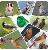 Banzaa Tuin net fijnmazig – Tuinnet – Vijvernet - Vogelnet - Groen – 10 x 4 meter