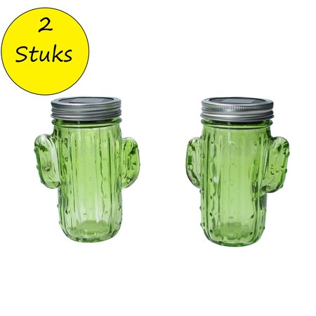 Banzaa Cactus solar lamp set 2 stuks