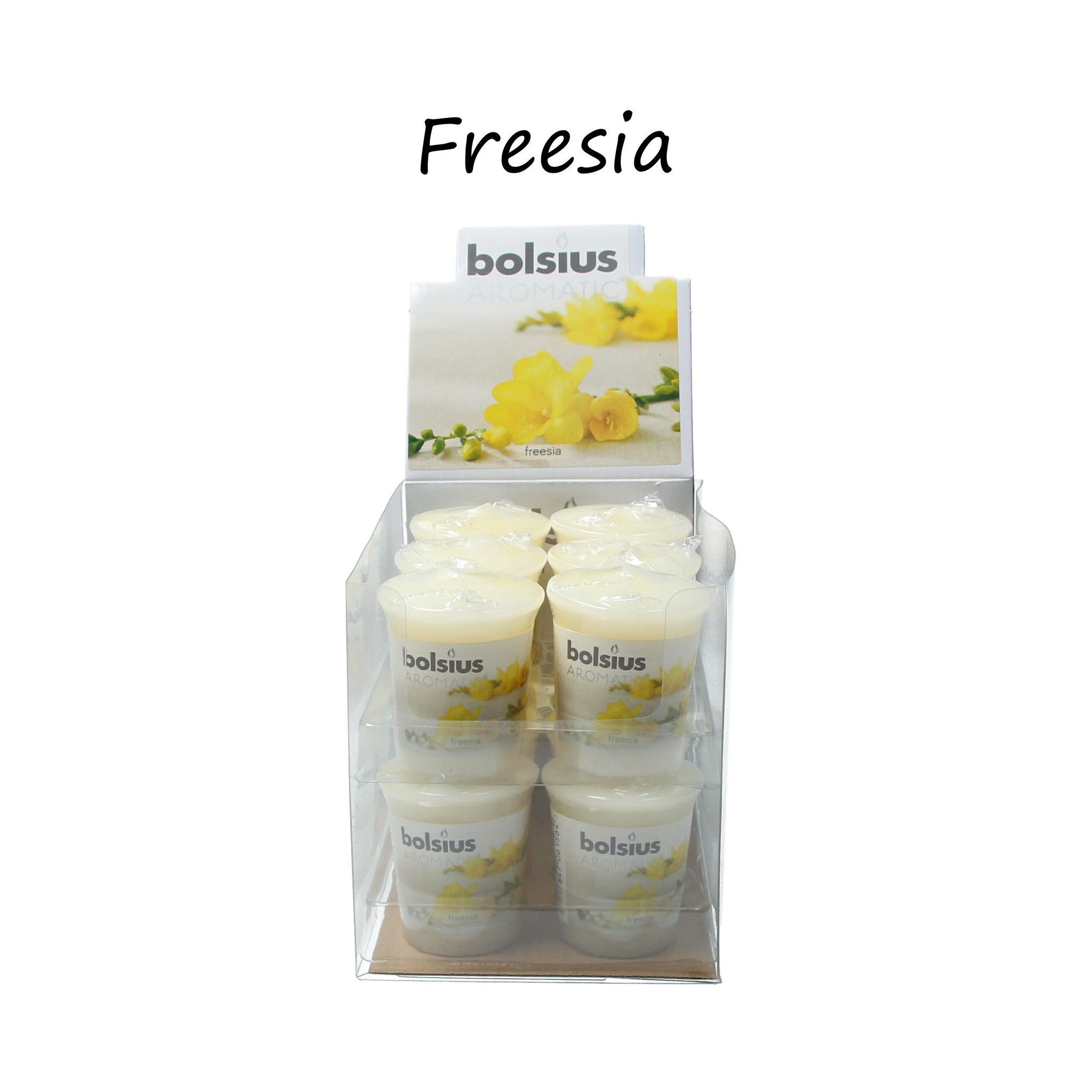 Freesia Mega pack 12 | Best Deals Online BV