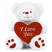 Witte Beer met Rood Hart 'I Love You' 27 cm - Valentijn pluche knuffel