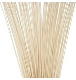 BBQ Satestokjes Bamboe 30cm 2x 100 stuks FSC Bamboe