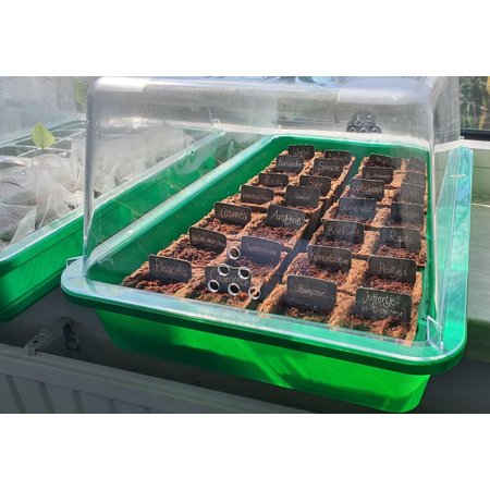 Romberg Romberg kweekkas voor moestuin - groen & transparant - kweekbak - 38x24x19 cm - propagator - terrarium