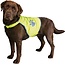 Trixie Trixie Veiligheidsjasje Safer Life Fluo Hond S - Kleding - 50 cm - Geel