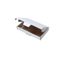 Banzaa Brievenbusdoos A5+ 255x160x28mm Verzenddozen Extra Lock 50 Stuks