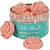 The Pioneer Woman Waxmelts gingerbread & spice - Vintage blik