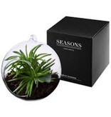 Seasons Seasons Sphere Terrarium Plant - Glazen Bol