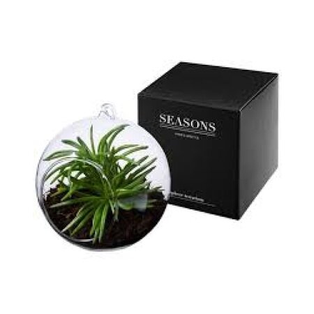 Seasons Seasons Sphere Terrarium Plant - Glazen Bol