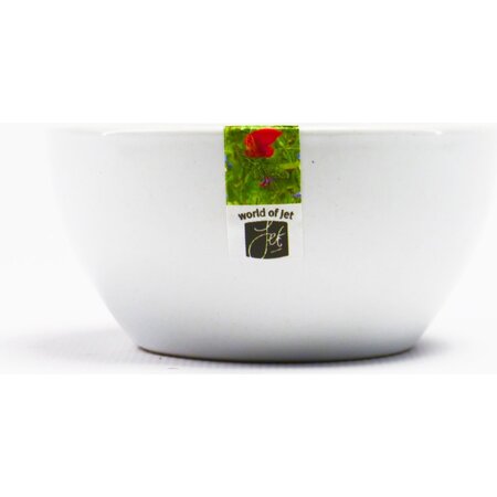 World of Jet Tapas servies - 8 cm - set 5 stuks