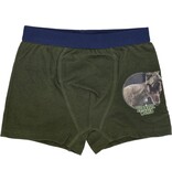 Jurassic World 3 Pack Jurassic World Jongens boxershorts - Marineblauw-Groen-Lichtgroen - Maat 122/128