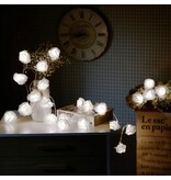 Home 10 Led Rozen licht snoer - Licht slinger -  Warm wit - Decoratie -  120 cm