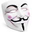 Verk Group Anoniem masker vendetta acta protest halloween