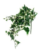 Merkloos Hedera Kunst Hangplant - Klimop - 2 stuks - 56 cm - Nep planten