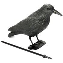 Vogelverschrikker - Kraai - Vogelverjager - Duivenverjager - Vogelafweer