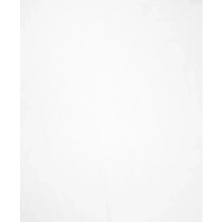 Benson Horrengaas voor raam - Insectenwerend - Eenvoudige montage - 130 x 150 cm - Wit
