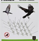Benson Vogelpinnen - Duivenpinnen - 10 stuks