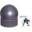 Stolz 4-in-1 Oefenbal - Step & Ball multifunctioneel - Inclusief trainings-dvd en balpomp - Fitness Step - Ø 35 cm