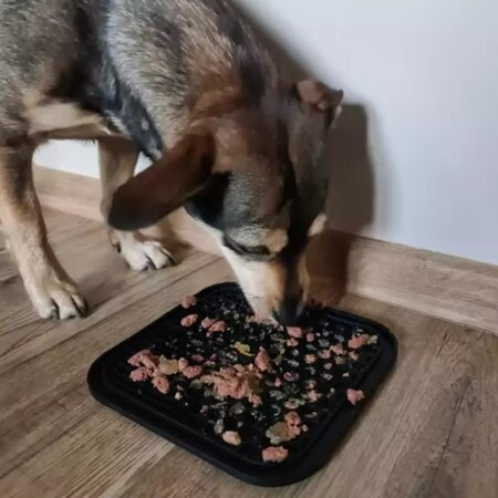 Purlov Anti-Stress Mat/Tray - Kalmerende Verzorging voor Huisdieren