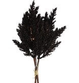 Countryfield Decoratietak Astilbe - Led - Hout/veren - Zwart  - 25,4 Cm