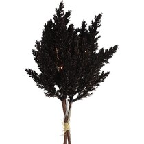 Decoratietak Astilbe - Led - Hout/veren - Zwart  - 25,4 Cm