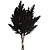 Countryfield Decoratietak Astilbe - Led - Hout/veren - Zwart  - 25,4 Cm