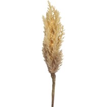 Decoratietak Astilbe Led 90 Cm Hout/veren Lichtbruin