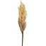 Countryfield Decoratietak Astilbe Led 90 Cm Hout/veren Lichtbruin