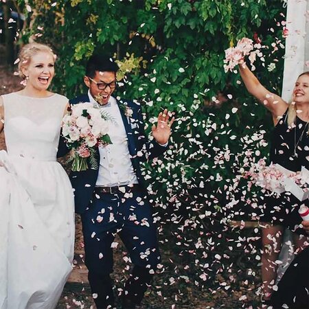 Merkloos Rozenblaadjes  - Romantische versiering - Decoratie valentijn huwelijk - Creme - 500 Stuks