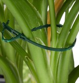 Relaxdays plantensteun - 110-delige set - stabiele clips - binddraad met snijder - rozen - groen