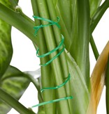 Relaxdays plantensteun - 110-delige set - stabiele clips - binddraad met snijder - rozen - groen