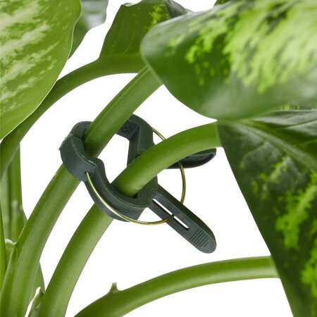 Relaxdays plantensteun - 110-delige set - stabiele clips - binddraad met snijder - rozen - groen