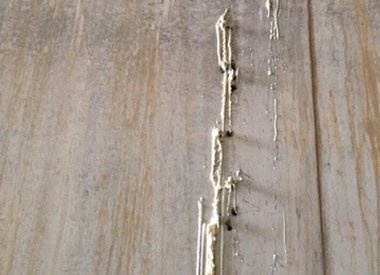 Injectie-  en lekkagesystemen