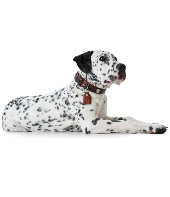 Leren Halsband Cody - Donkerbruin