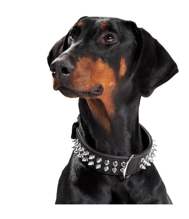 Halsband Rambo - Zwart