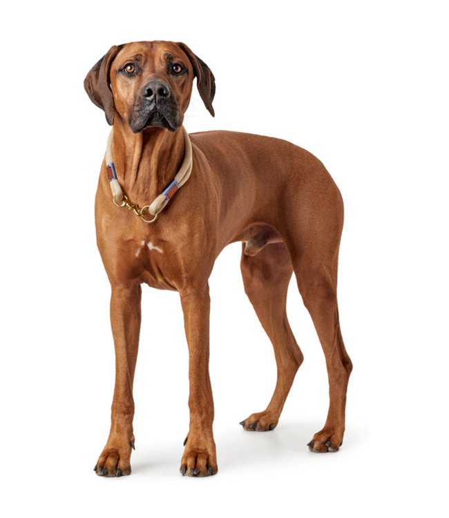 Halsband Sansibar Rantum beige