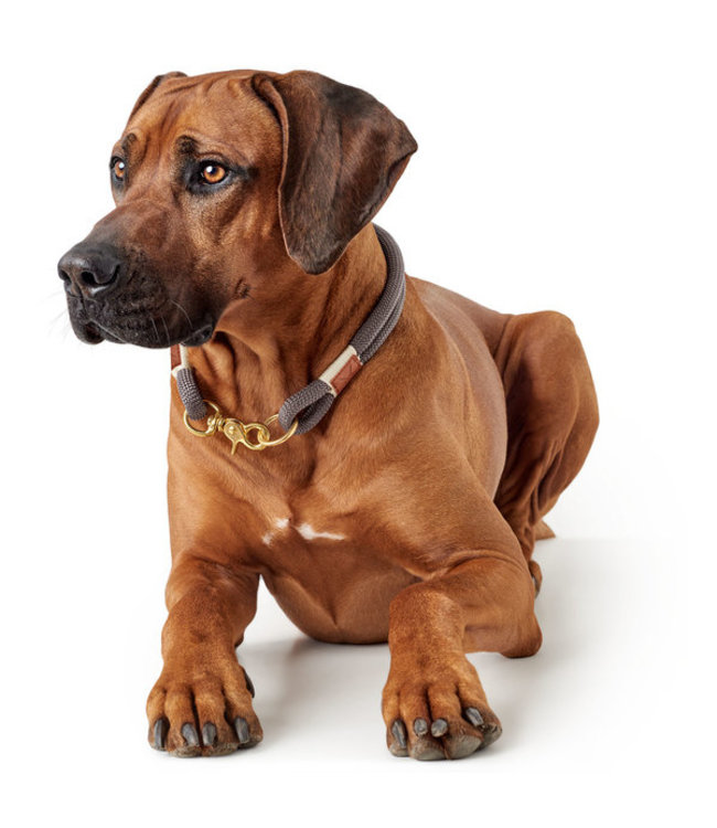 Halsband Sansibar Rantum grijs