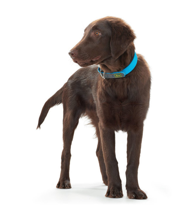 Halsband Convenience turqoise