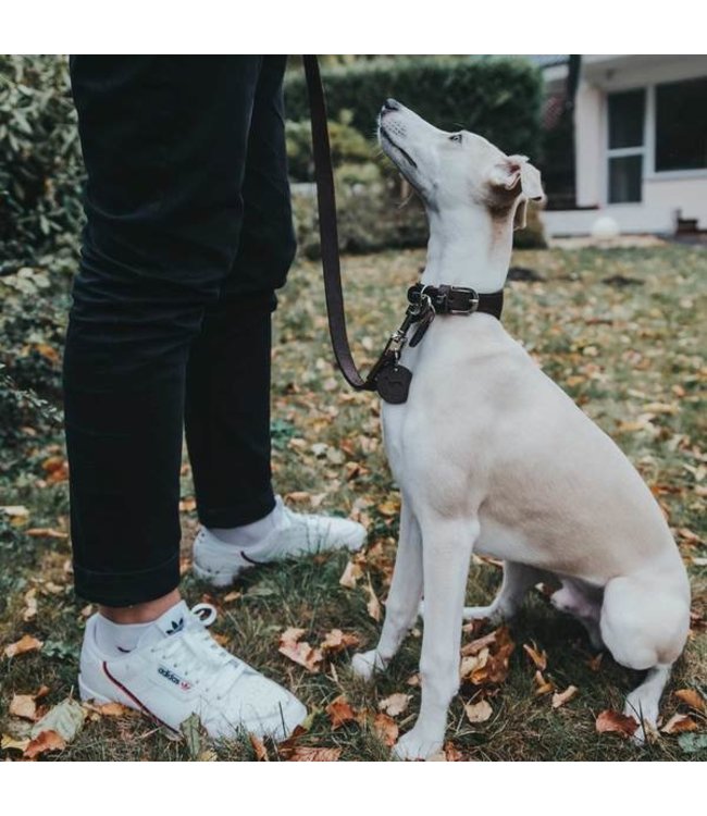 Basic leiband - zwart